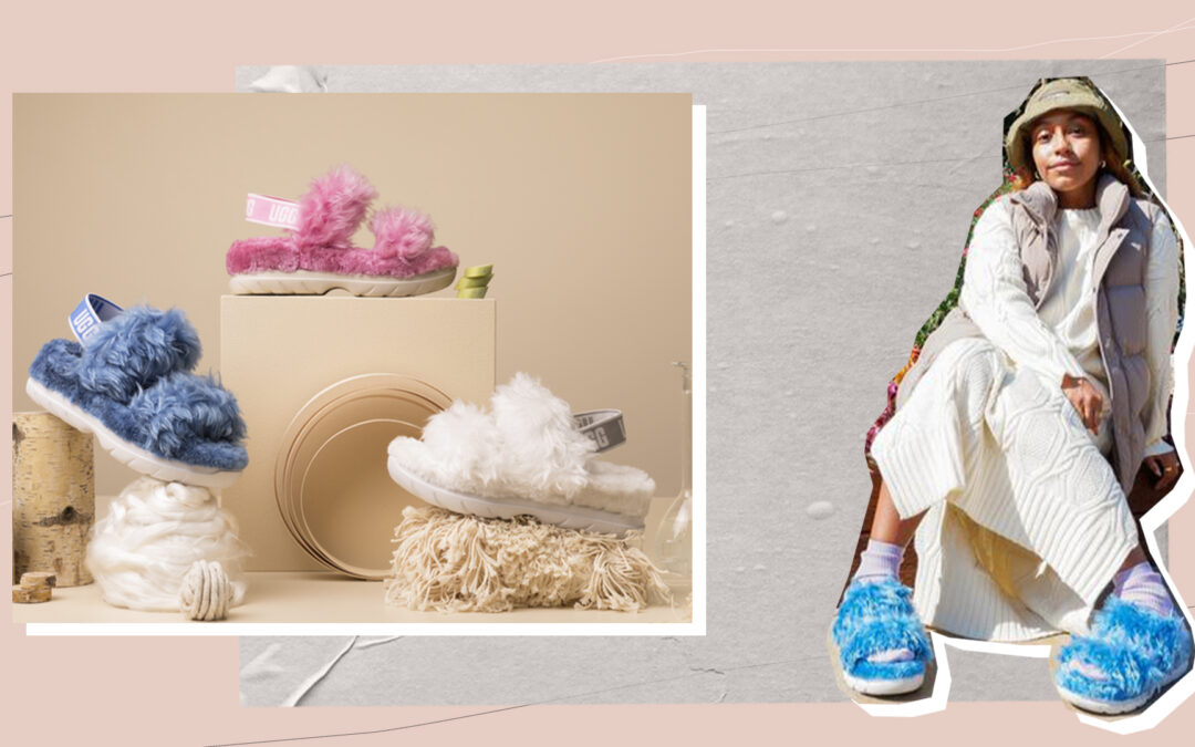 À la découverte de Plant Power