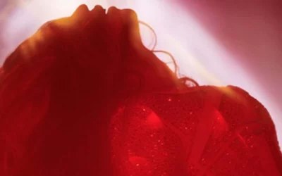 Beyoncé te dévoile la sortie de son prochain long-métrage “Renaissance Tour” au cinéma !