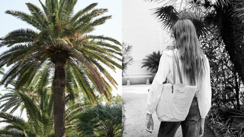 Rêve de Riviera : la collection Plein Soleil de CELINE !