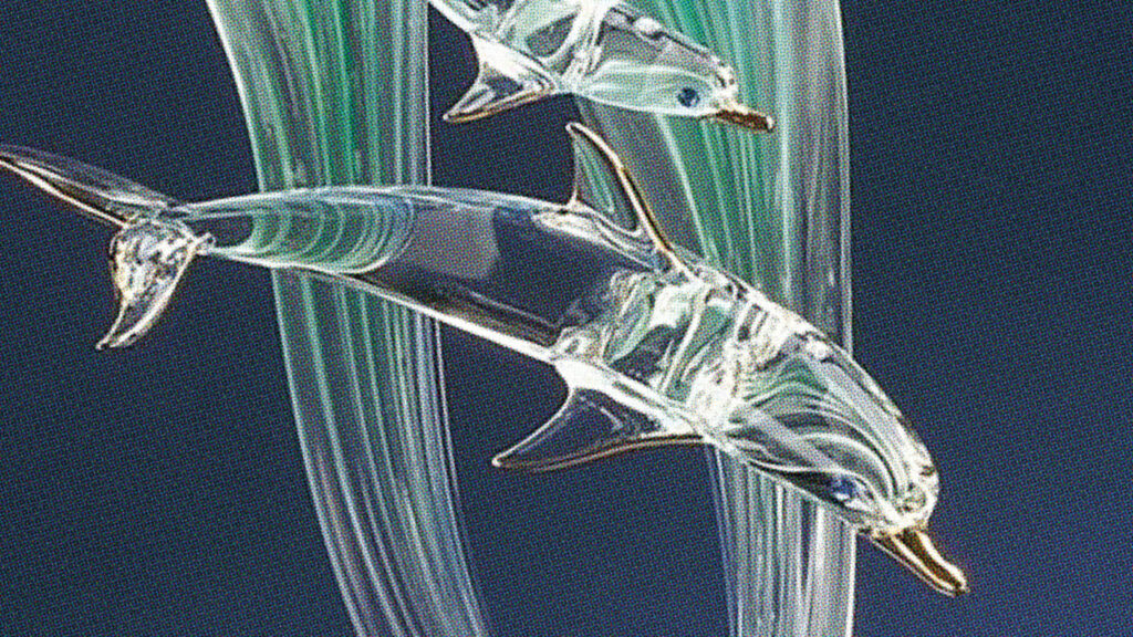 Gros Crush sur le Queen Classic Surf Festival