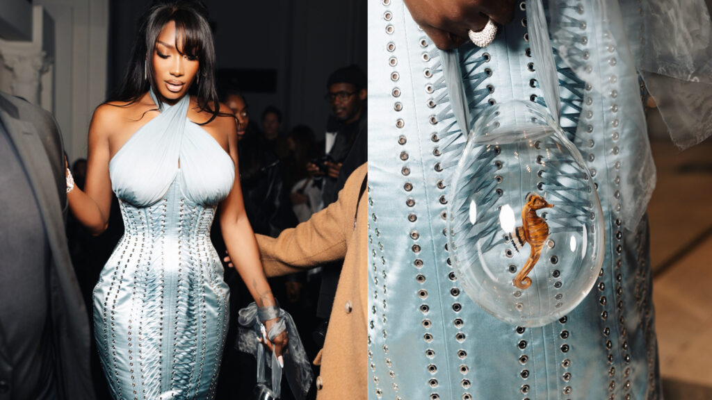 Aya Nakamura et l’hommage inattendu à Josiane Balasko