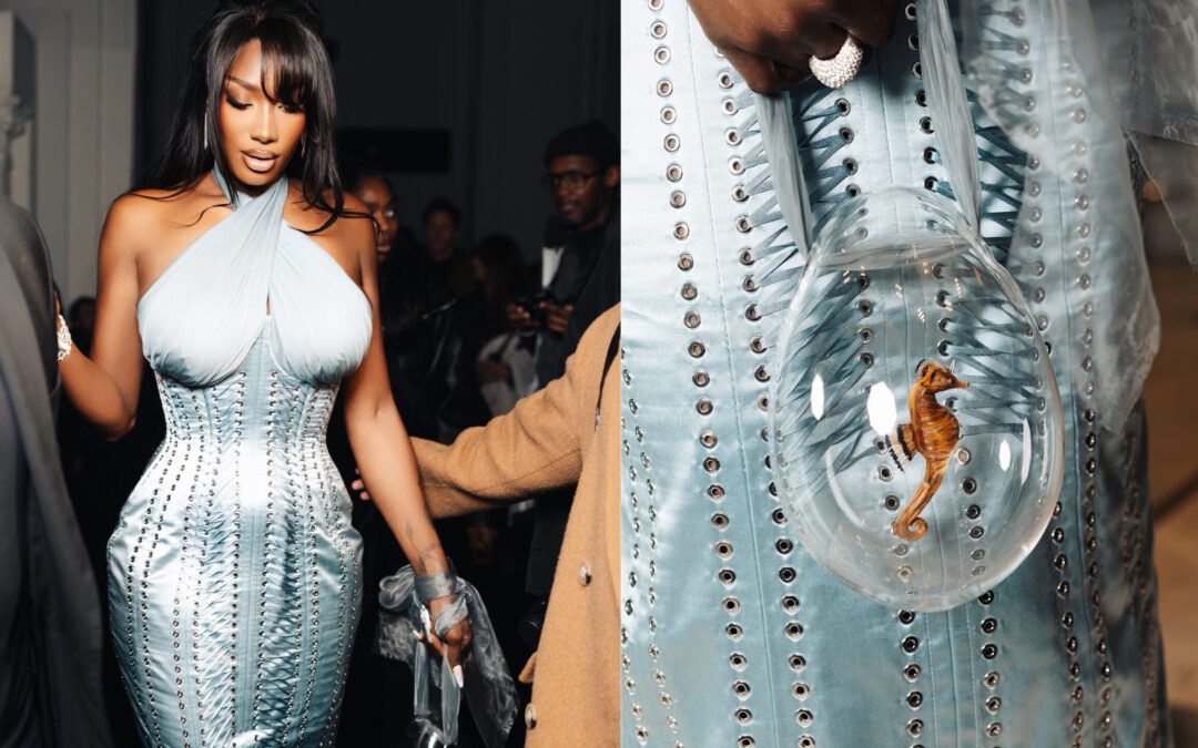 Aya Nakamura et l’hommage inattendu à Josiane Balasko