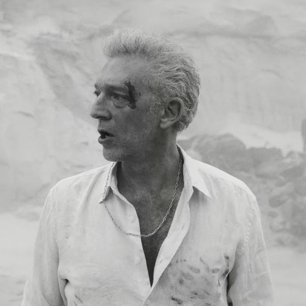 Vincent Cassel chez Charli XCX : casting inattendu ou coup de com’ raté ?