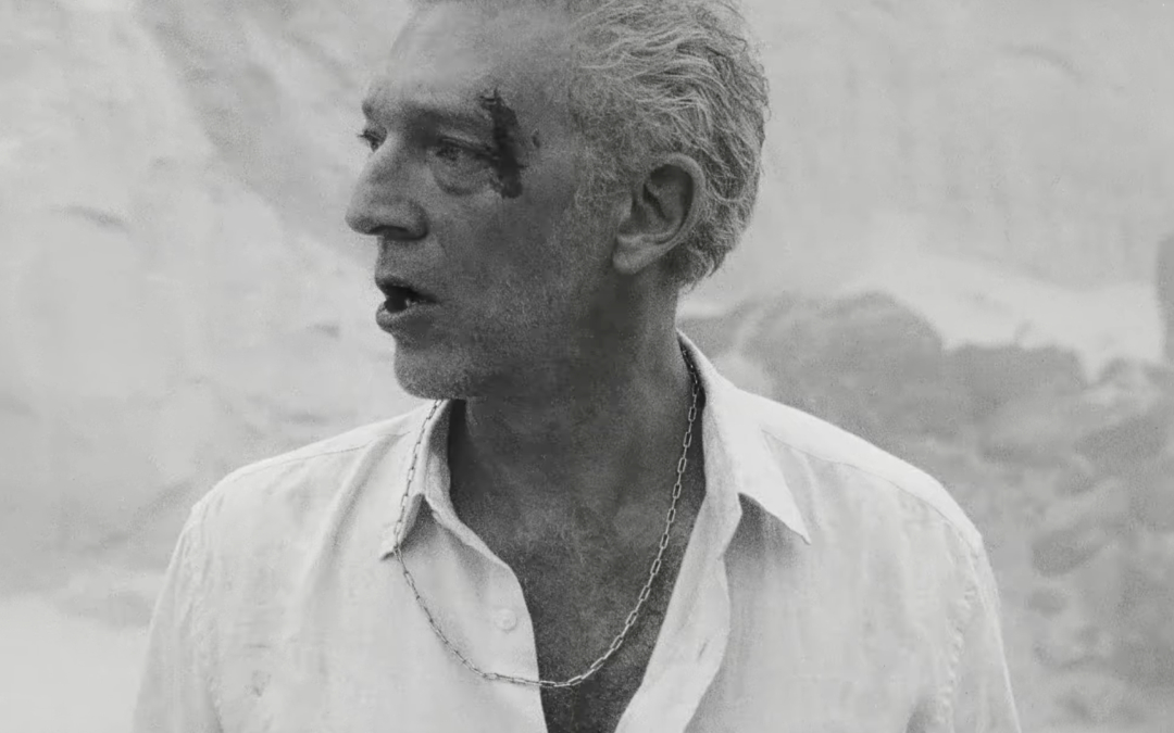 Vincent Cassel chez Charli XCX : casting inattendu ou coup de com’ raté ?